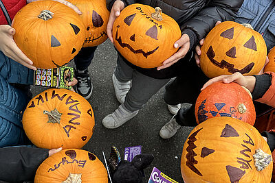 Agrandir l'image (fenêtre modale)