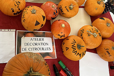 Agrandir l'image (fenêtre modale)